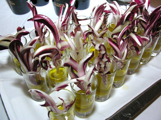 radicchio rosso tardivo di Treviso